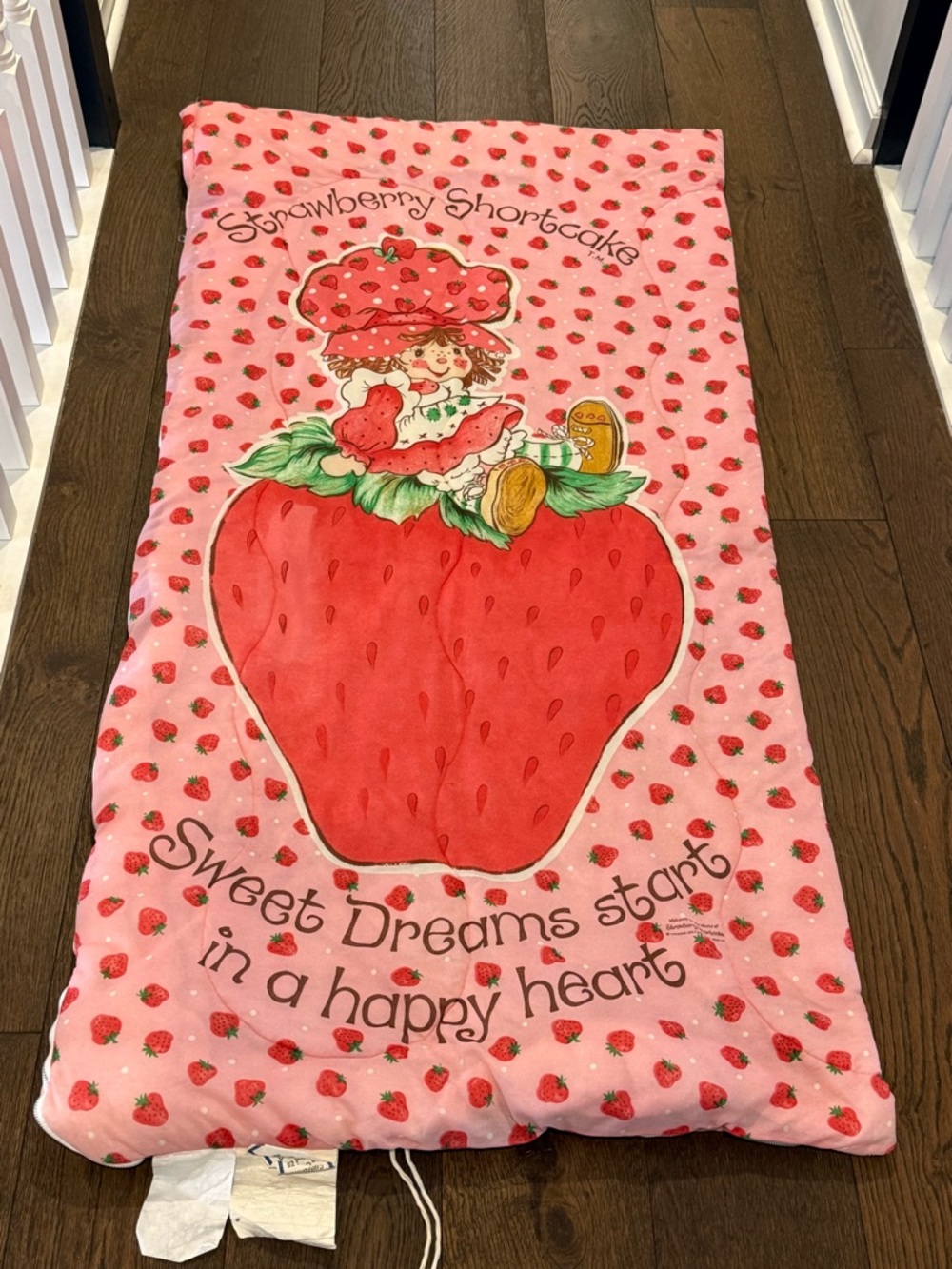 Vintage 1980’s American Greetings Strawberry Shortcake sleeping bag.
